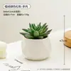Desktop de Escritório Suculentas Artificiais Plantas Verdes Internas em Vasos Cerâmica Pequenos Ornamentos Plantas Artificiais Estilo Ins Flor Artificial Bonsai