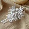 Presilha de Cabelo Elegante Grande Irregular de Concha para Rabo de Cavalo Acessório de Cabelo para Mulheres