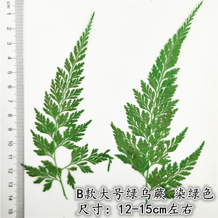 IMG20190107160949
