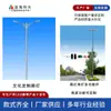 Fabricante Original de Qingdao Atacado de Postes de Iluminação Pública de Braço Único e Duplo, Iluminação Pública Led para Ruas Municipais e Rodovias Alimentada por Rede Elétrica e Solar