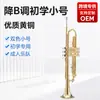 Instrumento Musical Pequeño OEM Si bemol Estudiante Principiante Nivel de Entrada Trompeta Instrumento Musical Nivel de Interpretación Profesional Instrumento de Viento