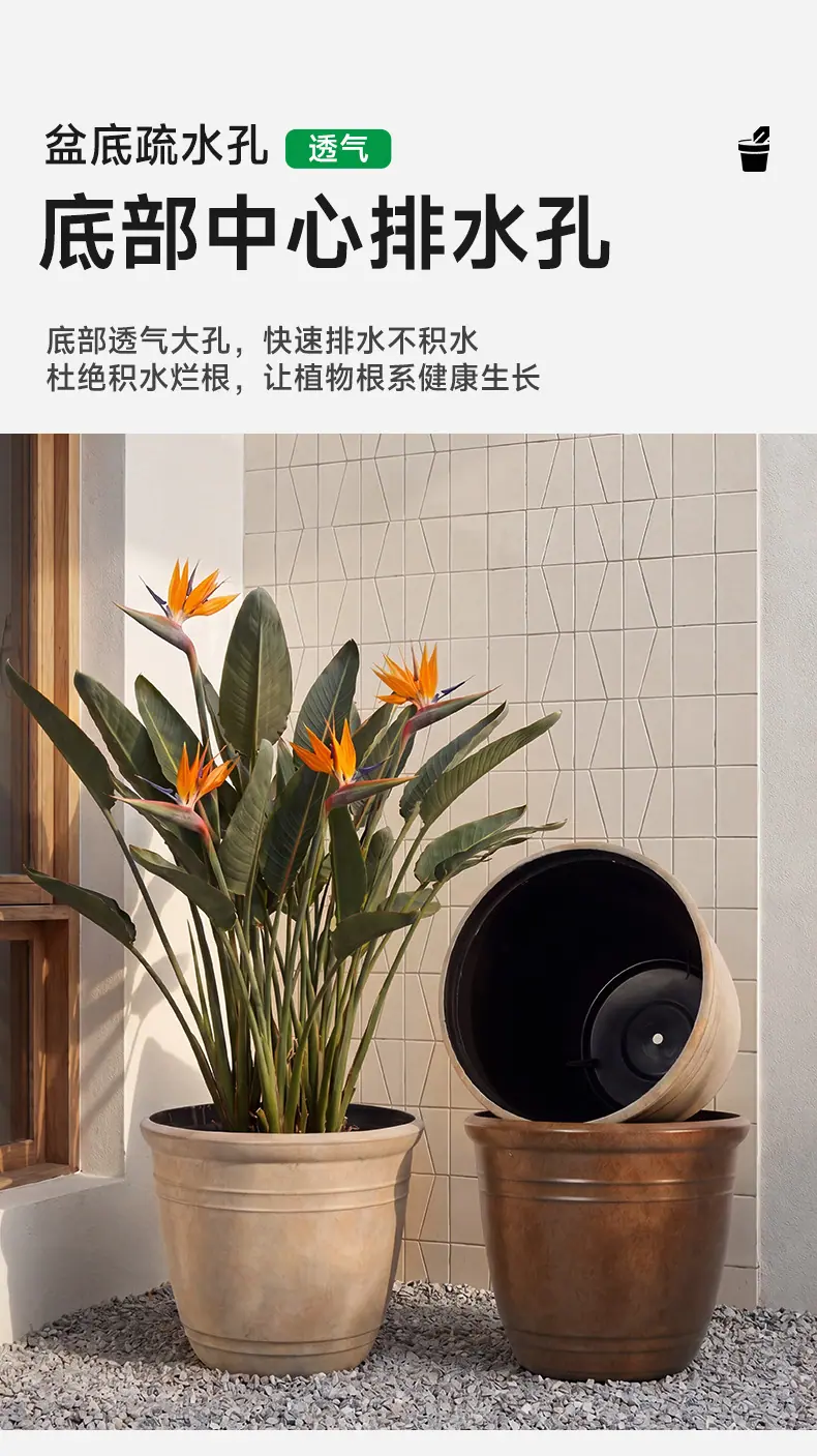 详情_05
