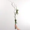 Galhos Secos Longos e Cipós Simulados, Rattan para Paisagismo, Paisagismo de Shopping Center, Parede de Plantas Verdes Simuladas, Paisagem de Jardim, Decoração de Floresta Tropical