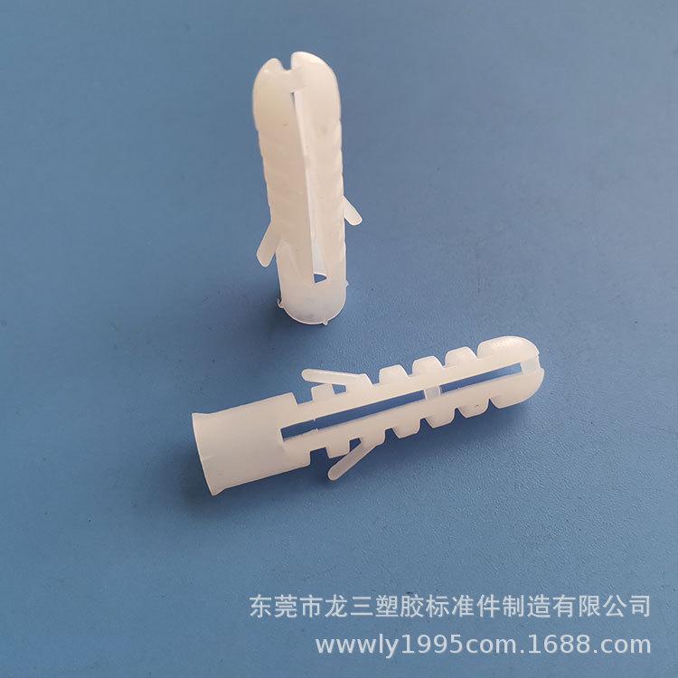 50mm壁虎.jpg