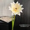 Jin Xi Flor Branca Simulada Diamante Rosa Rosa Hortênsia Decoração de Auditório de Casamento Material Floral Decoração de Sala de Estar em Casa Flor Artificial