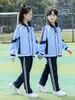 Uniformes para Alunos do Ensino Fundamental II e Ensino Médio, Conjuntos de Manga Longa, Moletons Estilo Universitário, Uniformes para Reunião Esportiva de Outono de Alunos do Ensino Fundamental, Conjunto de Duas Peças