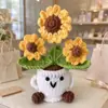 Muñecas de Lana Tejidas a Mano Muñecas Tejidas de Venta Caliente Muñecas Emocionales Positivas y Alentadoras Plantas en Maceta Flores