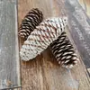 Atacado de Fábrica de Pinhas Ornamentais de Vários Tamanhos 1-18cm, Pinhas de Flores Secas, Pinhas Oleadas com Hastes para Decorações de Natal