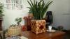 Adornos para Sala de Estar Creativo Hogar Maceta Set de Adornos Madera Florero Set Tubo de Ilustración Envío Gratis