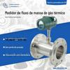 Medidor de Vazão Mássica Térmico de Gás Zhuoran Tian Gong com Medição Múltipla Nitrogênio Tipo Flange de Tubulação Plug-In Vazão Grande