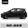 Adecuado para Byd Qin Coche Lápiz de Pintura para Retoques, Seal, Seagull, Destroyer, Frigate, Coche Especial, Color Especial