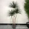 Alta Imitação Nórdica Sangue de Dragão Ferro Madeira Milenar Árvore de Bambu Dragão Árvore de Ferro Planta de Simulação Planta para Sala de Estar Hotel
