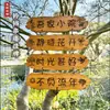 Letrero de Madera Creativo Personalizado para Sala de Té, Hermoso Letrero para Puerta de Patio, Señalización Exterior para Casa de Huéspedes, Placa Decorativa de Madera Grabada