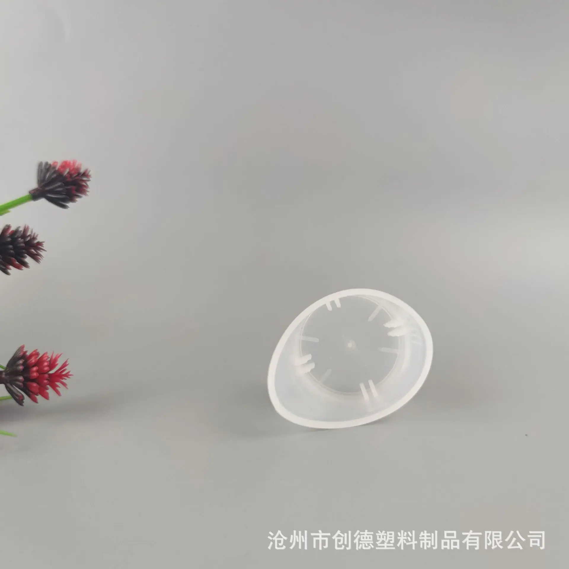洗眼杯