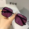 Gafas Fotocromáticas Similares a las de Douyin, Doble Puente, Modernas Gafas de Protección Ocular para Hombre sin Graduación, Tendencia y Audaces