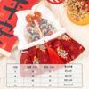 Ropa de otoño e invierno para perros, ropa de princesa china Tang, ropa para gatos, falda gruesa, ropa para perros pequeños de peluche