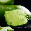 Zhongxiqiu Não. 5 Sementes de Rabanete Shawa Sementes de Rabanete Verde Outono Quatro Estações Vasos Sementes de Rabanete Fruto Shawa