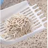 Arena para Gatos de Tofu Transfronteriza 6L Soporta Personalización OEM, Bajo Polvo, Absorción de Agua, Aglomerante para Gatos, Venta al por Mayor por Fabricante, Sudeste Asiático Transfronterizo