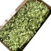 Hortênsia de madeira eterna flor mid-leaf Rosa eterna caixa de presente de vidro tampa flor Flor preservação decoração de casamento cocar de noiva