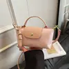 Bolso cruzado ligero de moda transfronterizo, bolso de mano con diseño de nicho, mini bolso cuadrado, bolso de mujer, venta al por mayor personalizada