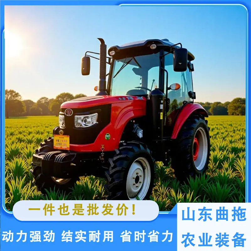 洛阳万年红804 5