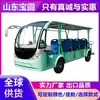 Carrinho Elétrico de Passeio, Carro Turístico de Quatro Rodas, Carro Turístico para Hotéis e B&Bs, Veículo de Transferência, Carro Turístico para Pontos Turísticos