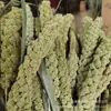 Xiao Mi Sui Fabricante de Flores Secas Atacado Xiao Mi Flores Secas de Yunnan Buquê Transfronteiriço Decoração de Flores Naturais Secas ao Ar Livre Adereços para Fotografia