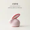 Porco Rosa Banha Geleia Pônei Chá Criativo Animal de Estimação Chá Brinquedo Ornamento Fofo Suporte de Tampa Decoração de Mesa Doméstica Artesanato