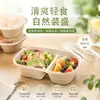 Caja de embalaje para frutas, fiambrera desechable, recipiente para almuerzo de picnic de salida de primavera, separador de alimentos ligeros de doble compartimento, camping al aire libre