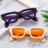 Gafas de sol con montura cuadrada pequeña transfronteriza 2023, nuevas gafas de sol de moda con personalidad de Europa y Estados Unidos, gafas de sol con montura gruesa INS tide