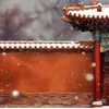 Estudio Fotográfico Tela de Fondo China Fotografía de Niños Disfraz Retrato Familiar de Año Nuevo Papel de Fondo Rojo