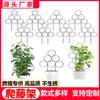 Especial Transfronterizo para enrejado de plantas trepadoras marco de soporte para plantas verdes Fabricantes de hierro forjado para soporte de arreglos florales en maceta Nieve Ying Tortuga de Montaña