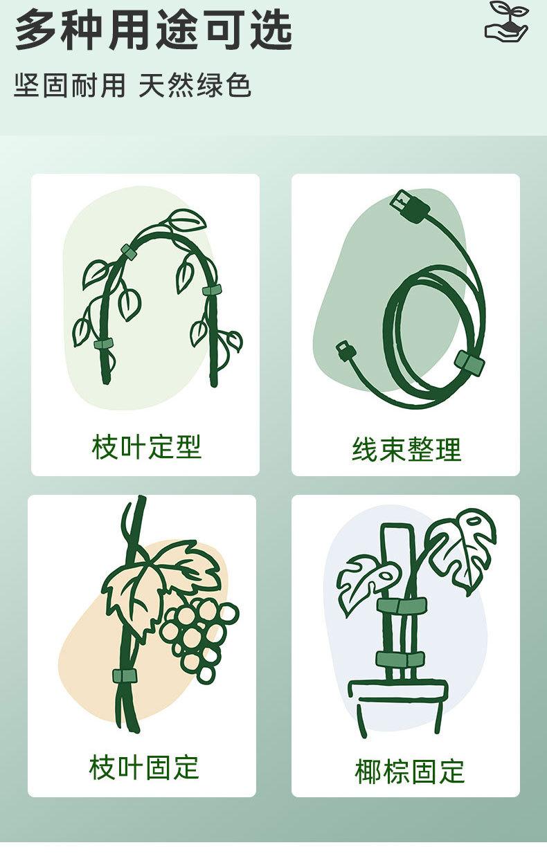 绿植魔术贴详情页_03.jpg