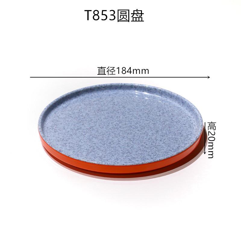 T853(1).jpg