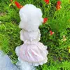 Verão Novo Vestido Pet Vestido de Princesa Lolita para Cão Bonito e Confortável Roupas para Teddy Schnauzer Pomerânia