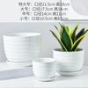 Maceta Tongxin Cerámica Creativa Personalizada Tamaño Grande con Bandeja Simple Hogar Balcón Hogar Verde Rosa Suculenta Maceta