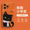 Lindo cordón de gato negro, adecuado para funda de teléfono Apple 18pm, iPhone 17, protección contra caídas en las cuatro esquinas, 15 ventana grande, 16 textura de cuero