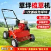 Escarificador de gramado campo de golfe verde corte de raízes aeração grama morta jardinagem manutenção parque equipamento mecânico