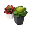 Simulación planta suculenta súper grande tamaño pequeño suculenta bonsái planta verde flor de plástico en maceta micro paisaje con pared vegetal