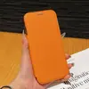 Capa de Couro Magnética Golden Shield para Celular Apple 17Pro Capa Traseira Transparente Galvanizada 16E Capa Protetora Novo Estilo