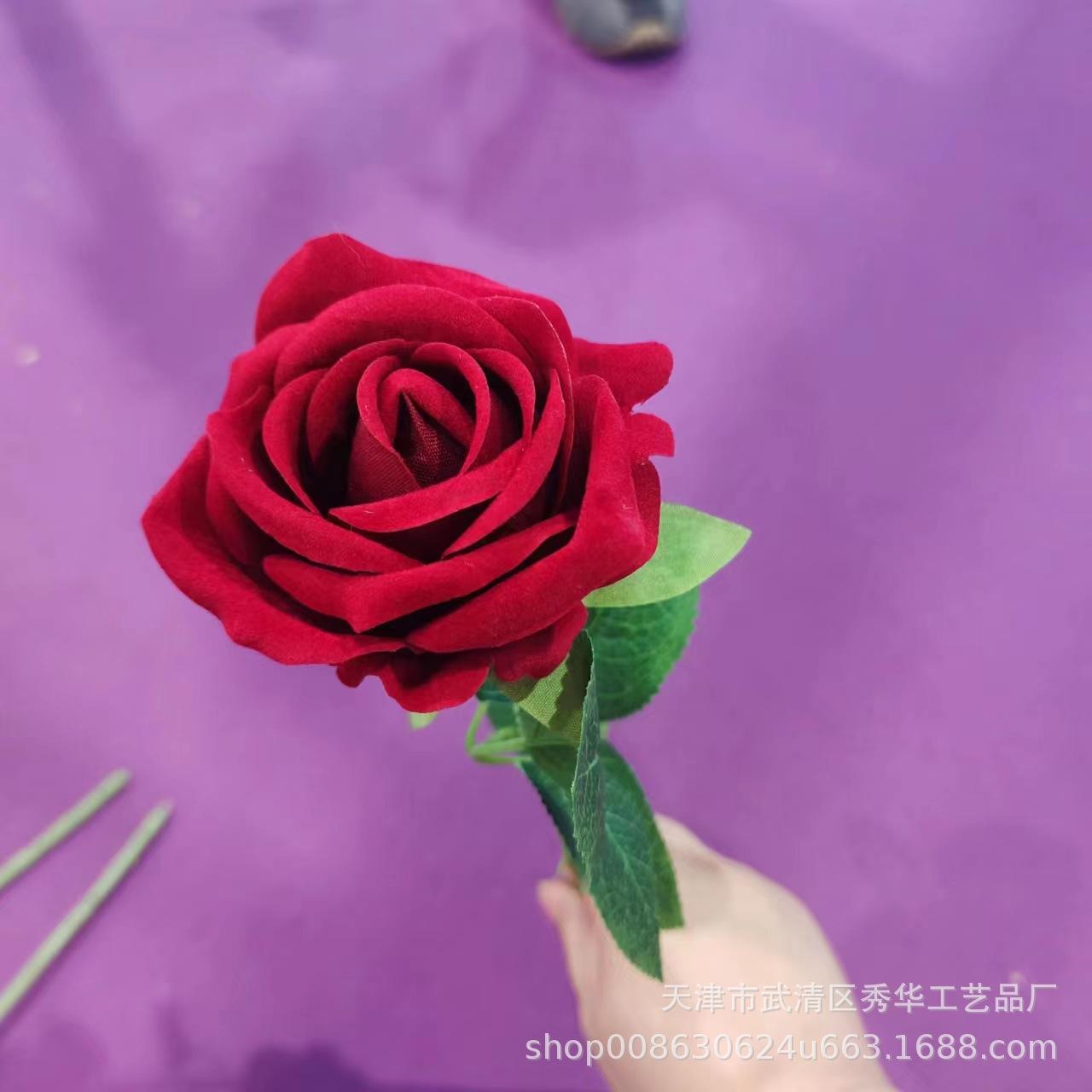 杨玉刚玫瑰深红色