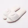 Pantuflas de algodón de invierno para mujer, de casa, para interior, de felpa, de una tira, 2019, nuevas de moda en internet, zapatos de pelo, fabricantes, en stock