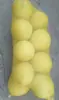 Bolsa de malla para ajos brotes de bambú patatas bolsa de malla tejida bolsa de red para pollo pato bolsa para calabazas repollos frutas verduras aves vivas bolsa de plástico