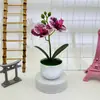 Plantas Artificiales de Dos Phalaenopsis en Maceta Transfronterizas para Decoración de Sala de Estar, Macetas de Diamante, Bonsái de Flores Falsas, Adornos de Plantas Verdes para Fotografía de Bodas