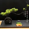 Decoração de Apresentação de Pratos de Restaurante de Hotel com Flores e Plantas, Decoração de Bandeja de Sashimi e Frutos do Mar, Guarnição de Sushi Japonês, Enfeites Criativos