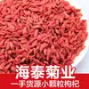 Ningxia Goji Berry Atacado Goji Berry Vermelho em Atacado Produtos Secos de Goji Berry Grande Quantidade de Goji Berry Tratamento Preferencial 500g Venda Direta da Fábrica