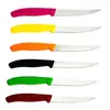 Cuchillo de cocina explosivo transfronterizo para bistec casero con mango de plástico, acero inoxidable, cabeza redonda puntiaguda para fruta, cuchillo de bistec en stock