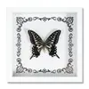 Espécime de Borboleta Real Decoração de Casa DIY Moldura de Madeira para Fotos Suprimentos de Pintura Decorativa Avançada Presente Moderno Presente Criativo