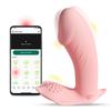 Dispositivo Portátil con Vibración para Mujeres, Vibrador, Huevo Vibrador Recargable Pequeño de Mariposa