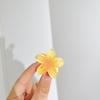 Comercio Exterior Transfronterizo Mini tamaño pequeño 4cm Pasador Flor de Huevo Caliente en Amazon Estilo Festivo Gradiente Dopamina Pinza de Agarre
